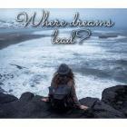 Книга Where dreams lead?|Куда приводят мечты?(СИ)